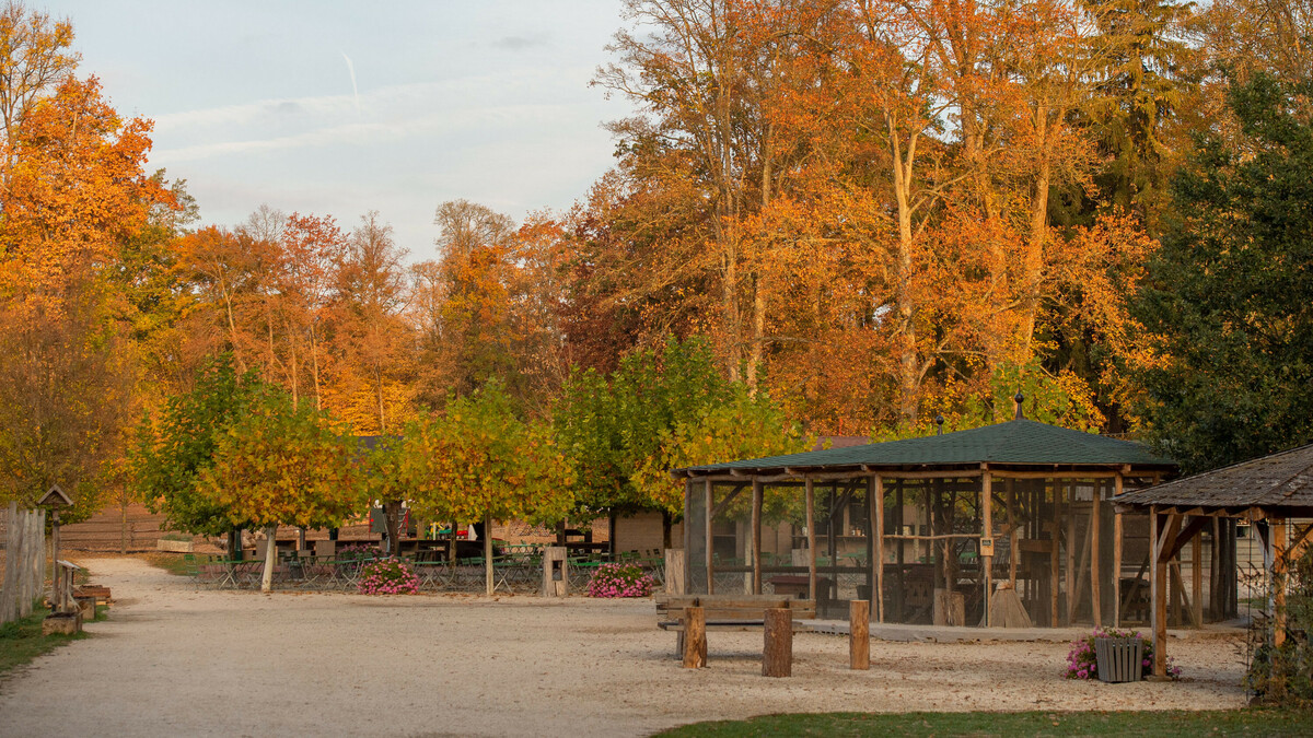 Karriere Meta Navigation WildPark Schloss Tambach